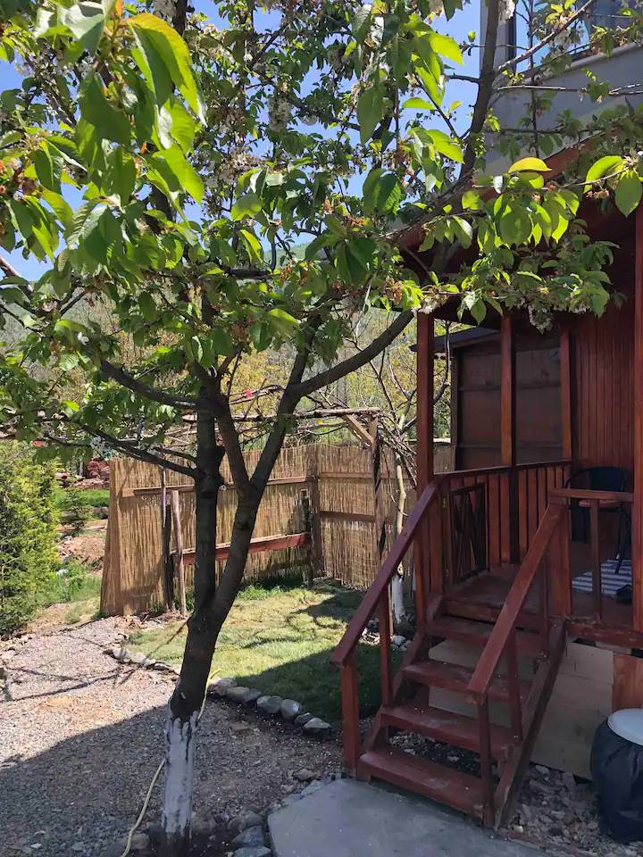 Sapanca Memnuniye'de Müstakil Bahçeli, 2 Kişilik, Kiralık Tiny House - Sapanca / Memnuniye