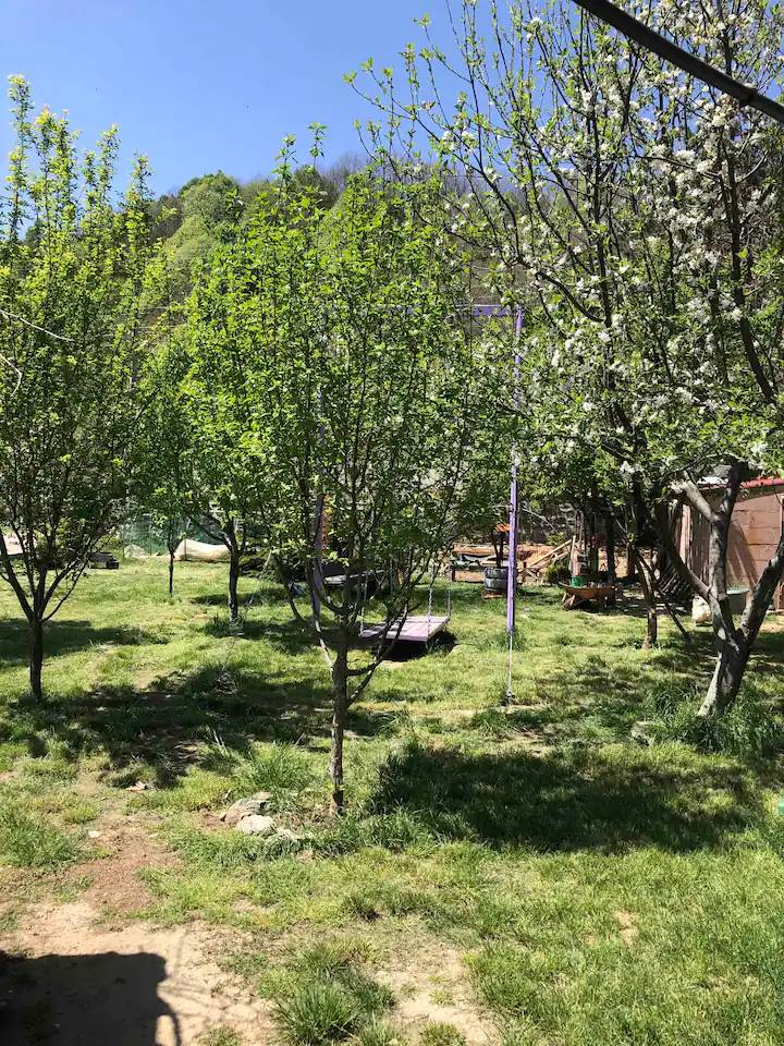 Sapanca Memnuniye'de Müstakil Bahçeli, 2 Kişilik, Kiralık Tiny House fotoğraf 2
