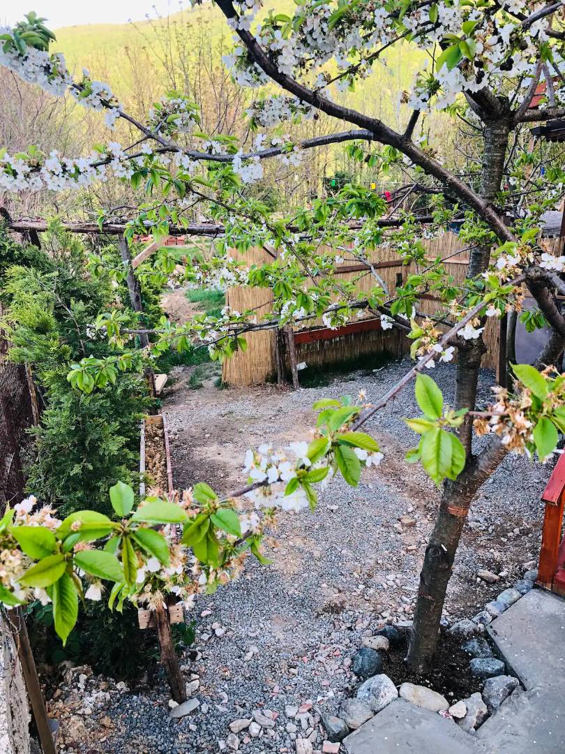 Sapanca Memnuniye'de Müstakil Bahçeli, 2 Kişilik, Kiralık Tiny House fotoğraf 3